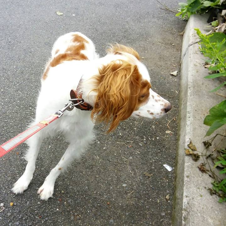 558f4300 9bcc 44e7 9173 9ea5e8a59cd6