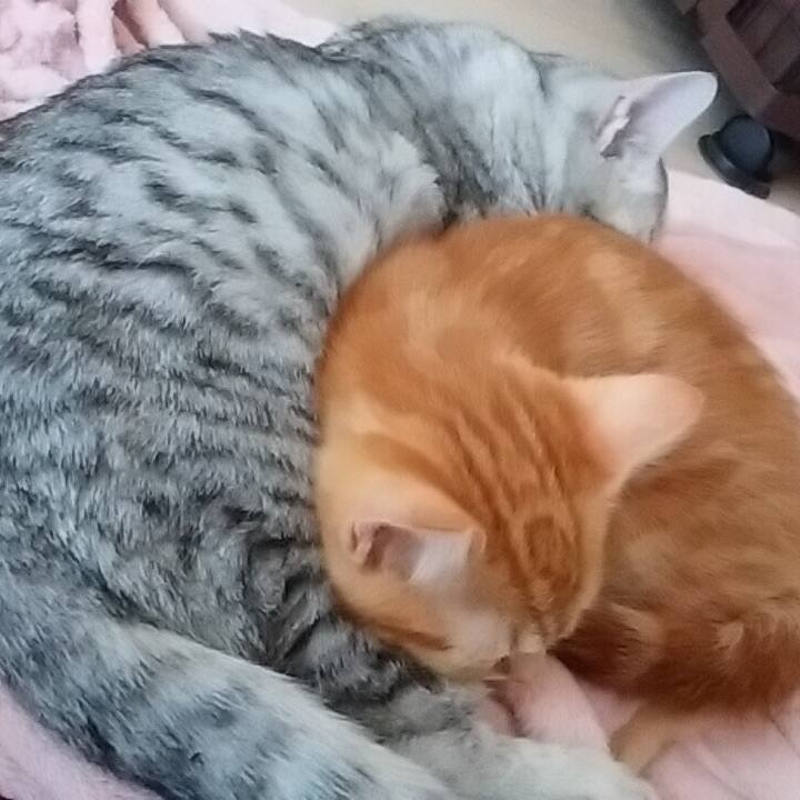 558fd606 ddea 4413 b9b6 ec4a7d406c31