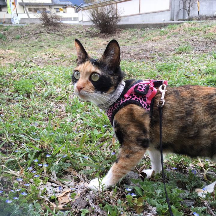 558feff6 bc92 4e53 9daa 2db75105b391