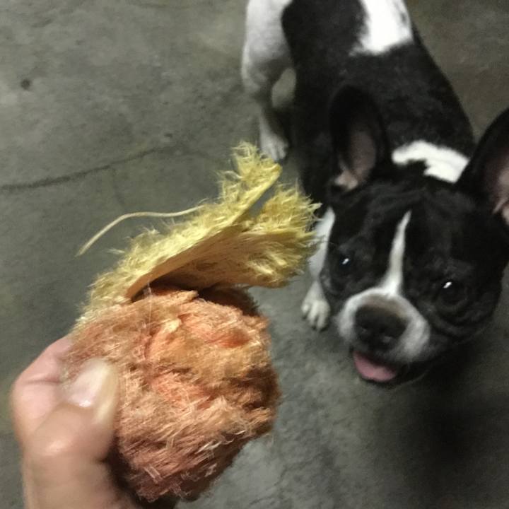 55911b07 6d72 4f00 905a 0180b02350fd