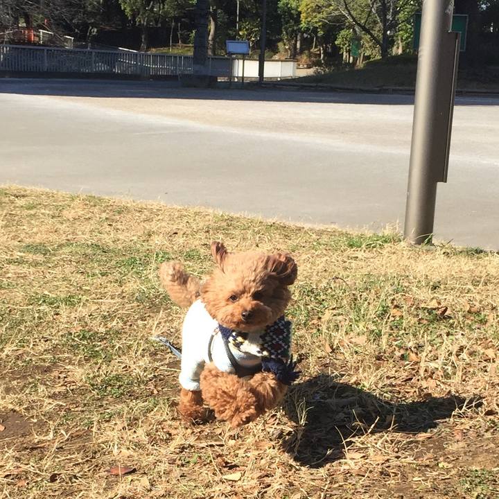 55925724 dcaf 44d0 a569 9386b31a64a2