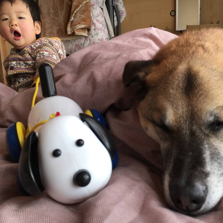 55929bcf 7cdd 44b6 80a4 aaceea442d95