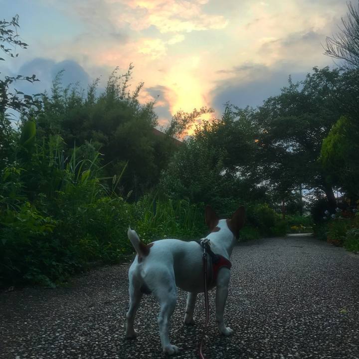 5592ccac 76e3 4638 8a25 935ab8a65a89