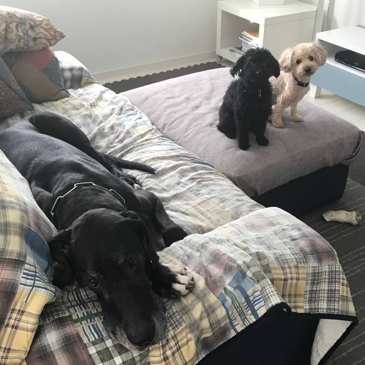 55932d43 a59f 4eca 8573 acedcbaf2e48