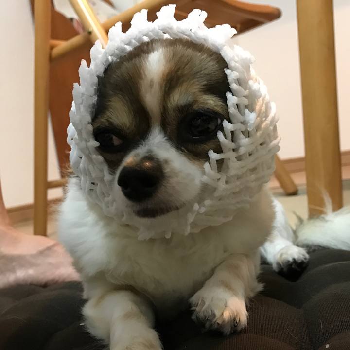 5593c717 9619 40e4 b463 d74970af4e64