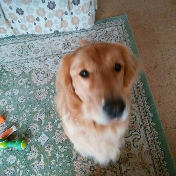 5593e744 a98c 4b66 ad3b 8a2718be9e49