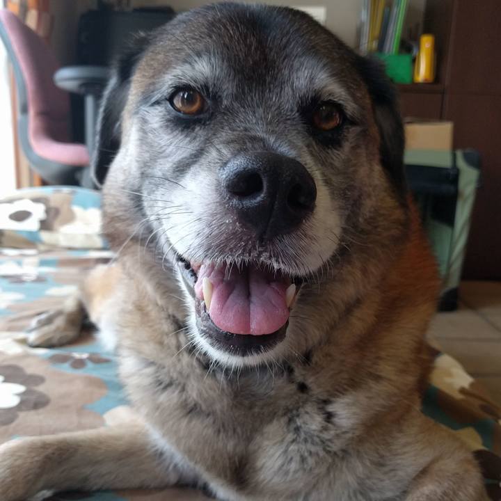 55943080 f824 4e7b be2e f992f572630d