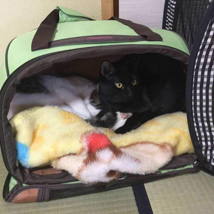 5594da24 000a 465d a2c3 5cb2194363f5