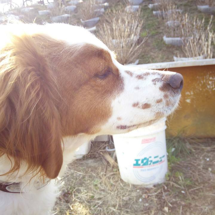 5594dc18 0996 460f 9eb5 5f30ec386683