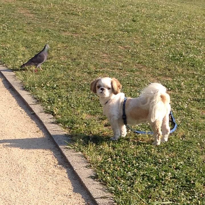 55973b19 e5d6 47b2 a37a f6a8756e2c2d