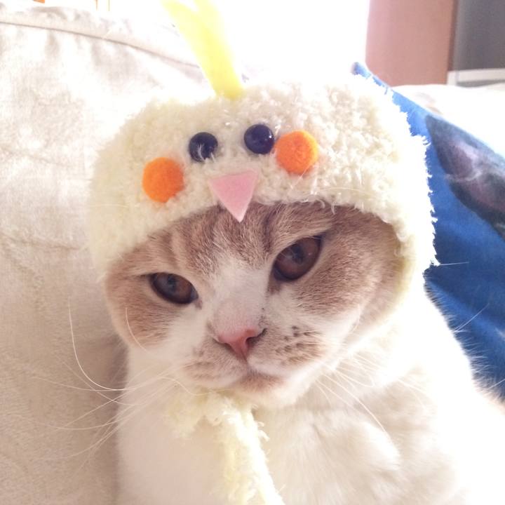 55976084 e0c5 43b8 bc7d 204c86803c4d