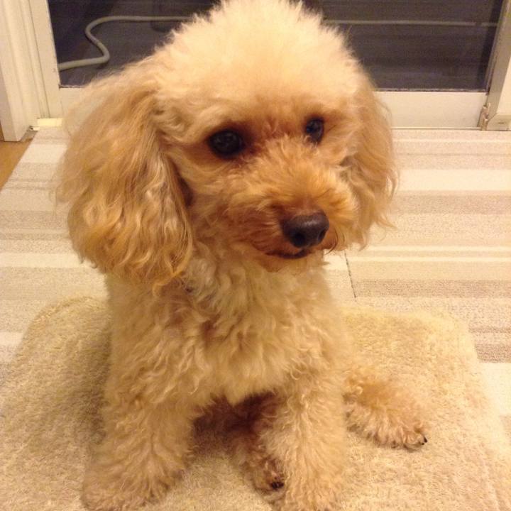 55992c70 301c 481c 8a1f d5b8387ba3b0