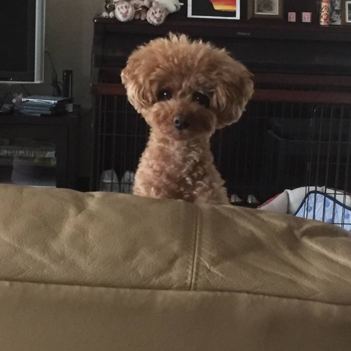 55997650 cb7c 4f39 aefa ea9b9e1b76d0