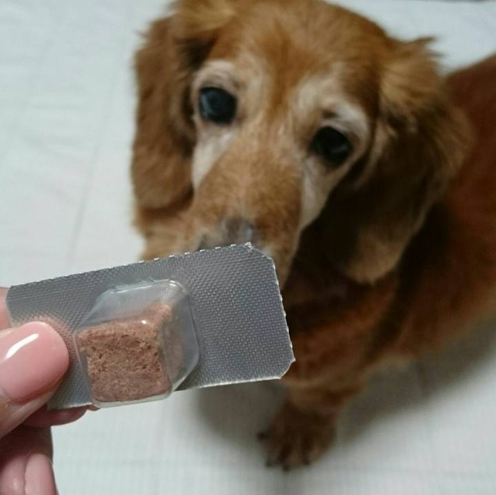 55997dec d5f4 4239 9b2f f73154ab2436