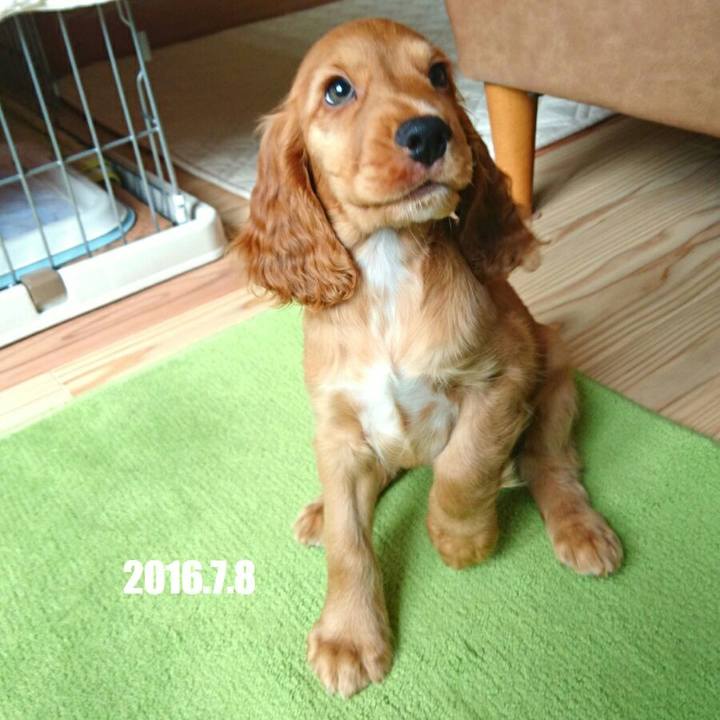 5599a7b2 bbe3 4323 8f43 c73b8a54d73a