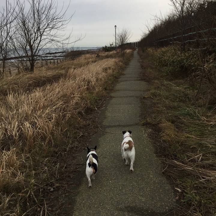 5599e238 11f7 433e 9ef5 59fa05a4978d