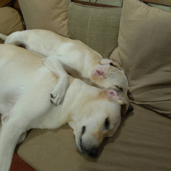 559a513b e70a 4ae7 a095 db6e15c01a1a