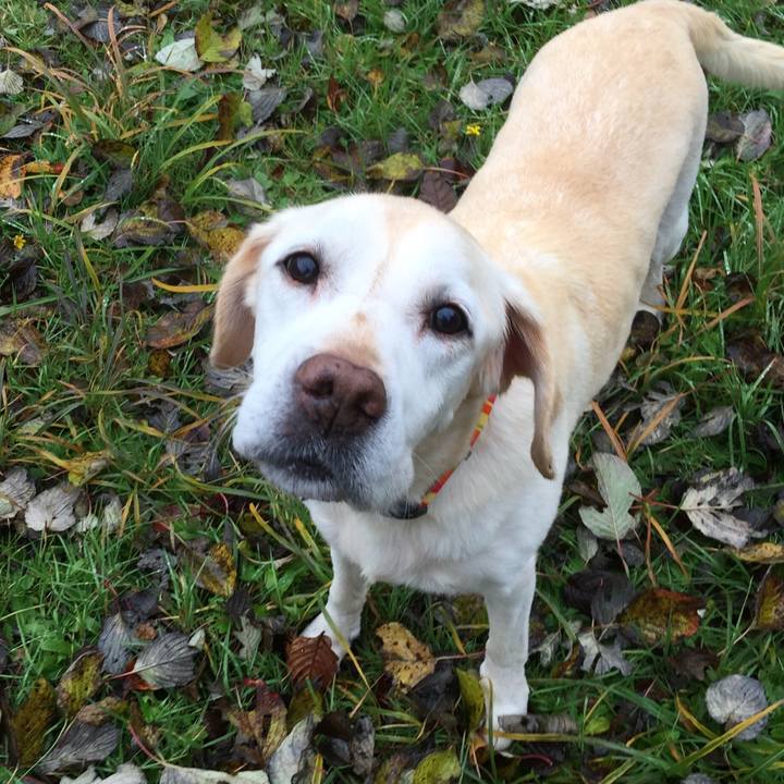 559aed6a 56db 482b a117 36214b90e1df