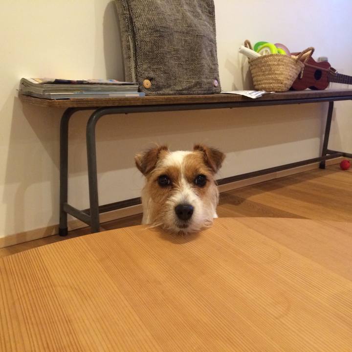 559b780b 4e8e 41e1 9534 d7aff1be5923