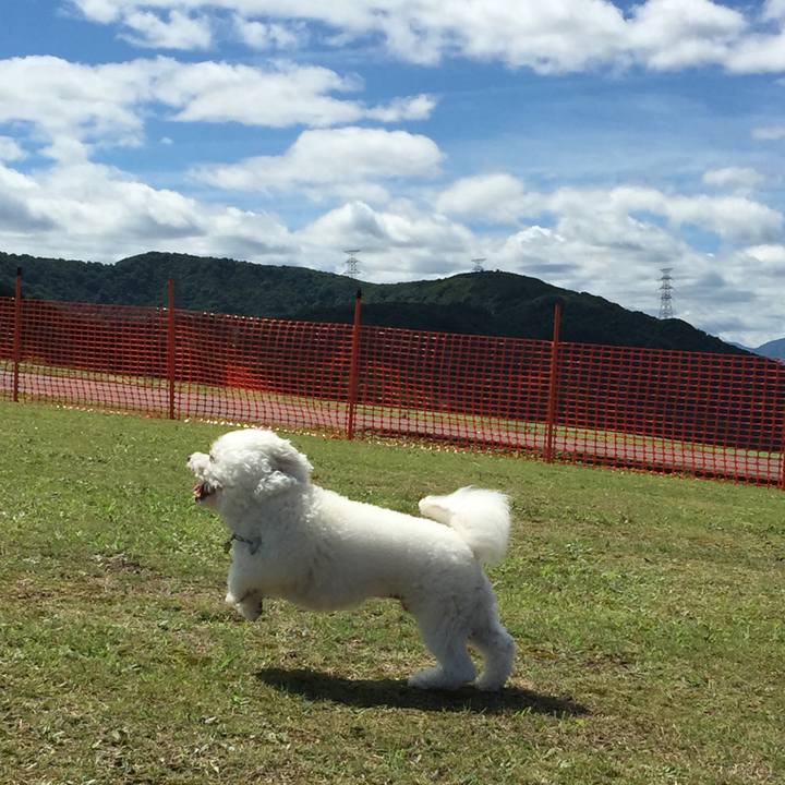 559bb03a 18b0 4bea b1a7 d26e85457f95