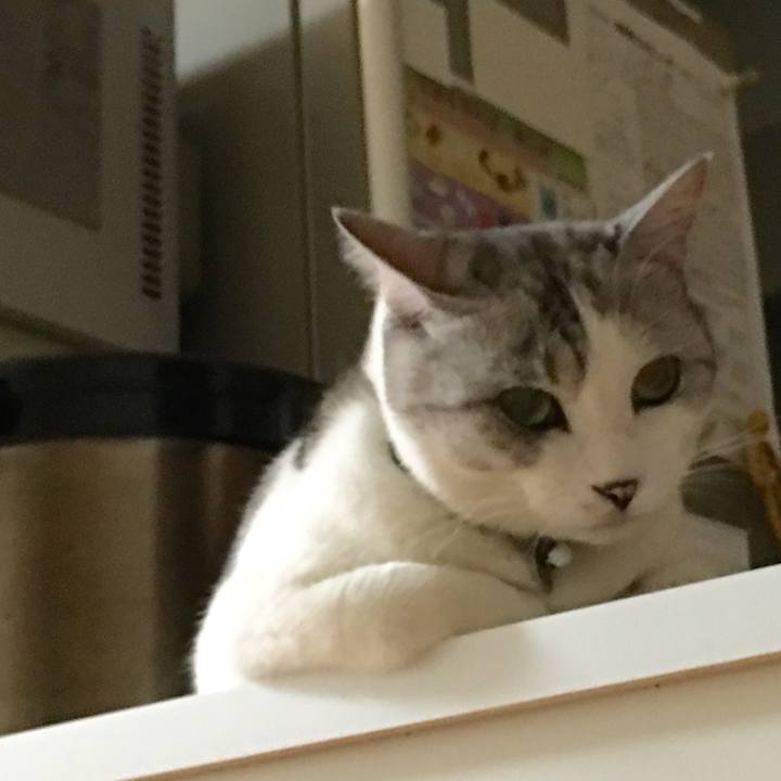 559c3a32 7a61 4ffd 8f5d 59db383aa49d