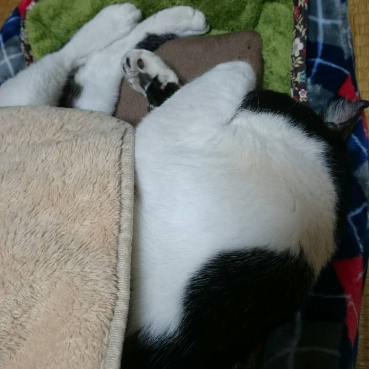 559c4e81 bf8e 4fc2 86b1 a0b7d9cb2dee