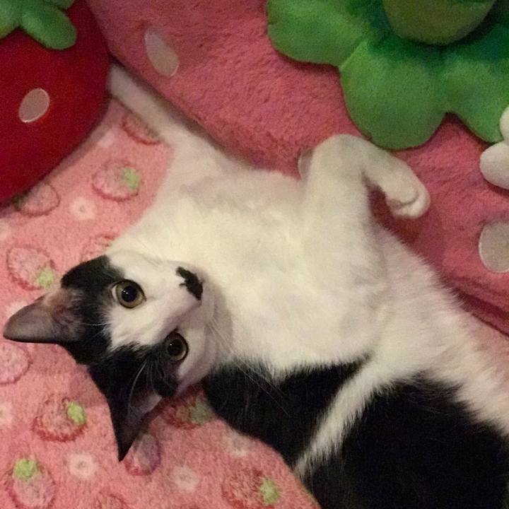 559c9457 a8ab 4bb8 8c20 6d3308066d6a