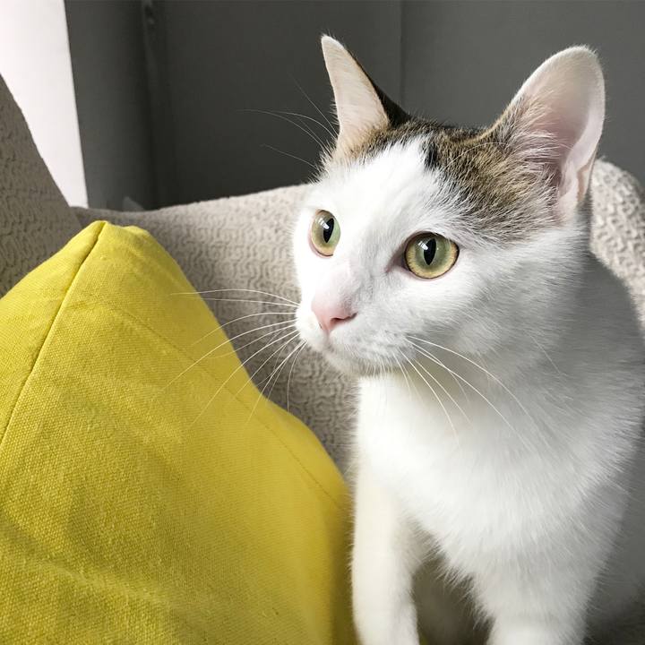 559d0dcd cbd8 4f9d 94a0 3b698665b8e5