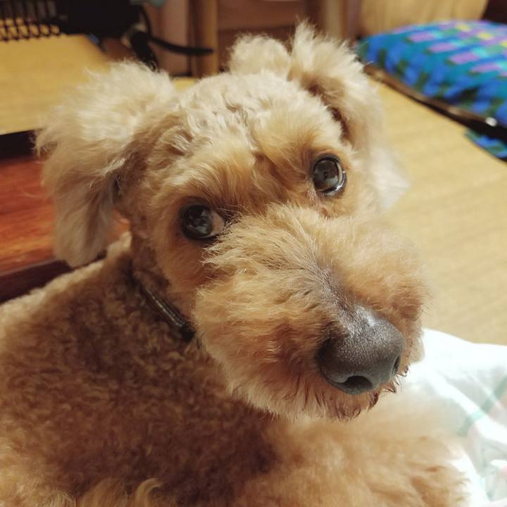 559d8b22 fa5b 41d0 b9ae 12bda4839fe0