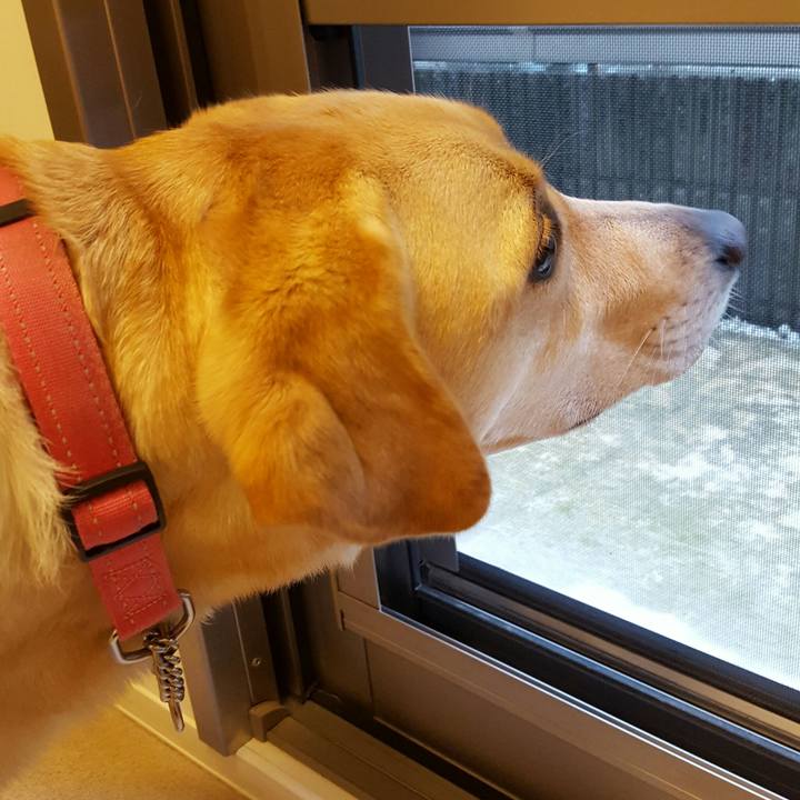 559de2c4 01bc 451e 99ca 3bf0b5107a41