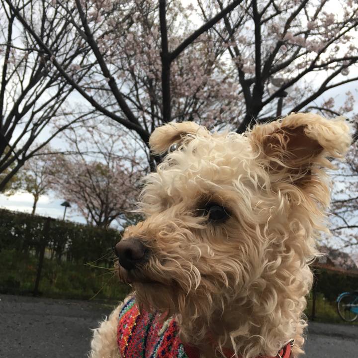 559dfadd 8219 4069 ad22 925b1e63d327