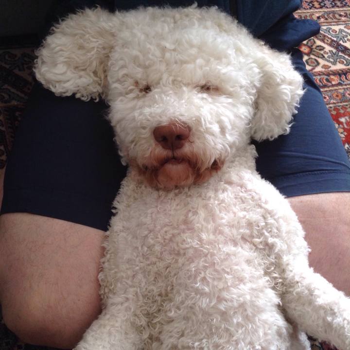 559dfe3c 8f01 4b42 b46c 5b34fd048b74