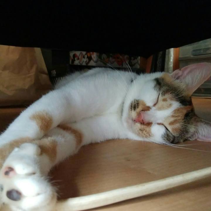 559e81fd a77d 4662 b703 3980ad0f55e3