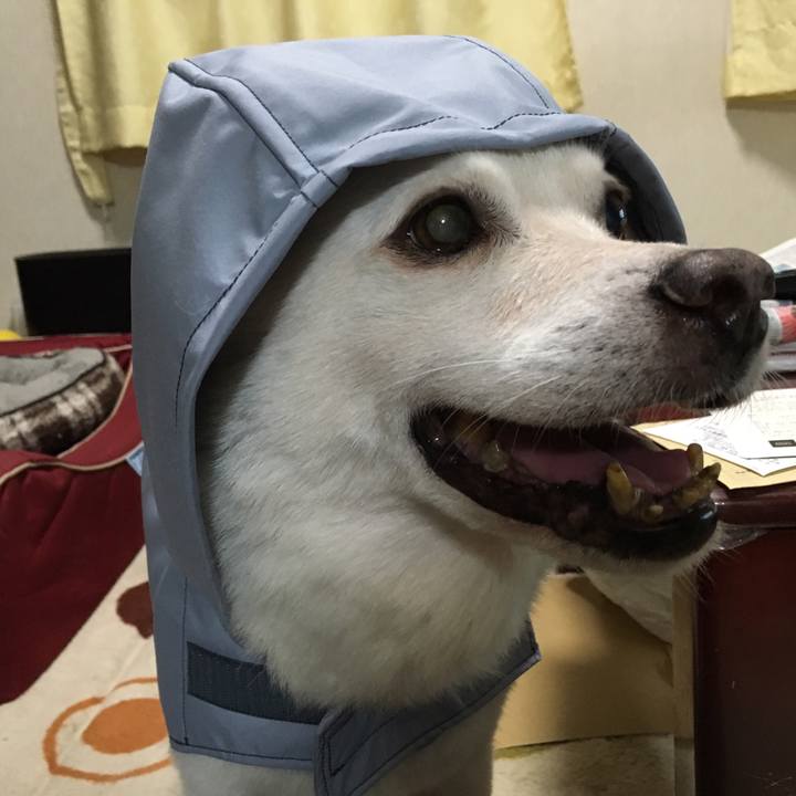 559eb056 a186 4cea 86f1 14aa0a698a20