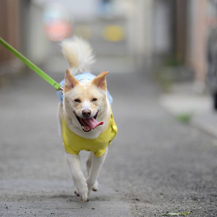 559f0466 8fd0 4d4a b2ce ff43a3a6e031