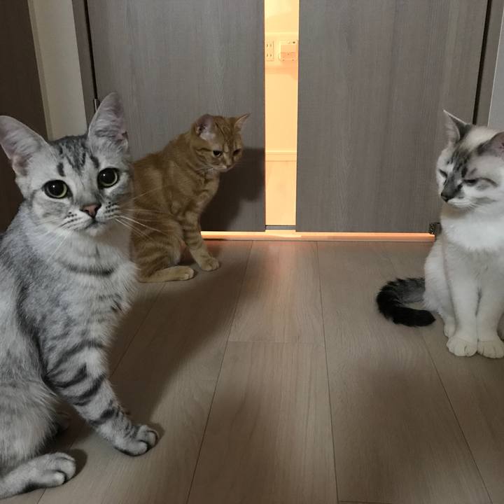 559f58b7 4601 4e5a 97ae b9f284d38ce5