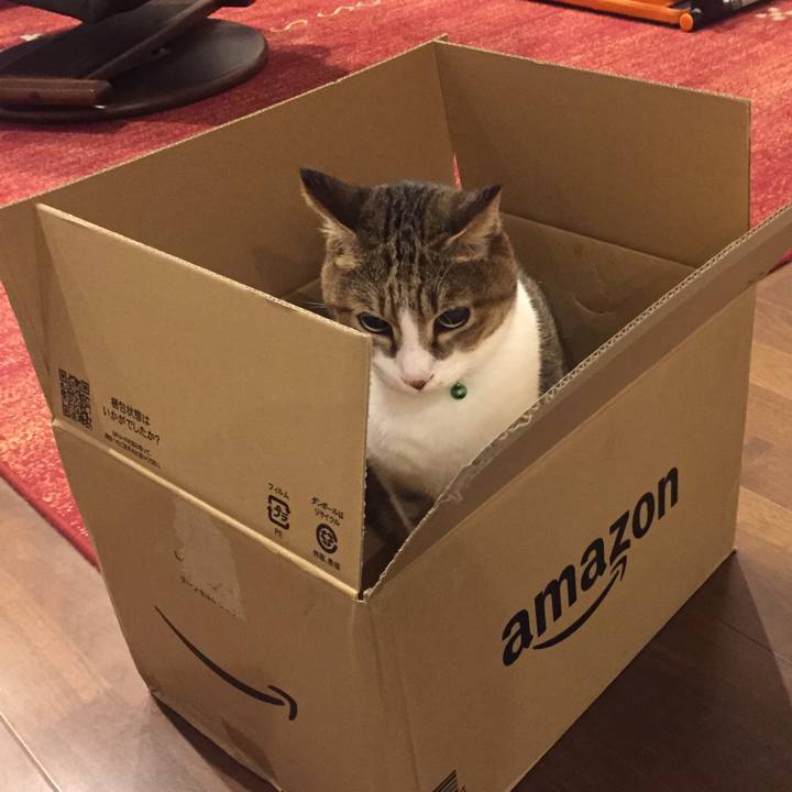 559f7338 21c3 4bd0 9a18 aa1033ee7f27