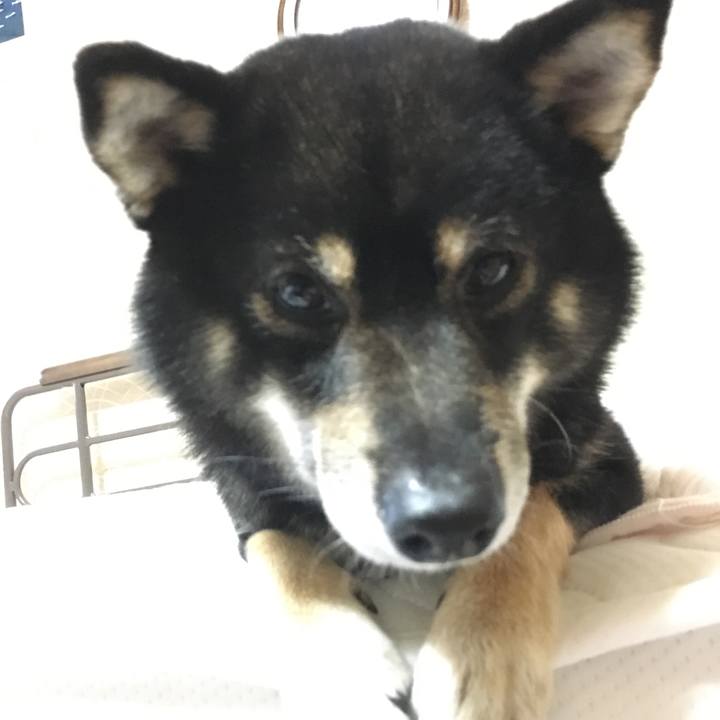 55a0473b 8bc0 432d 8fc3 e9e567141dd7