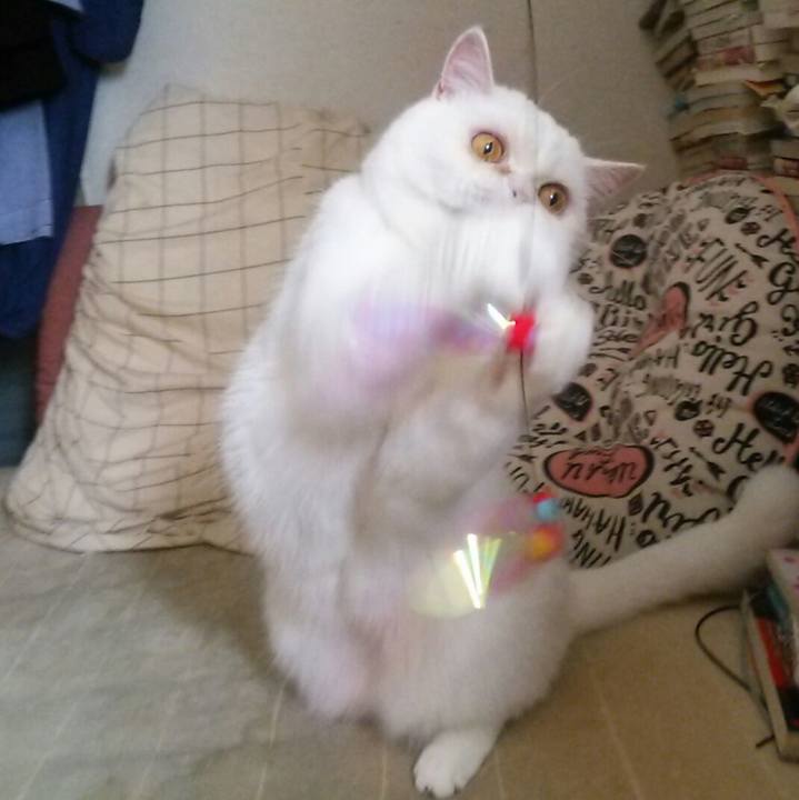 55a06b02 2477 4578 8672 5dee1fd0897b