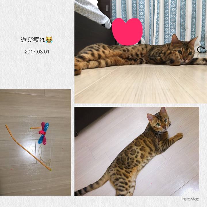 55a0c5cd ad37 48e8 836c 1459833bc364