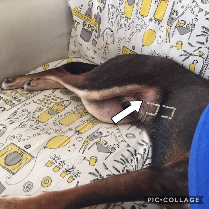 55a0e47b 0372 4c15 b9af 6fa29c039b35