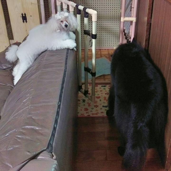 55a259a8 7364 4730 aeb5 66b6e219b064