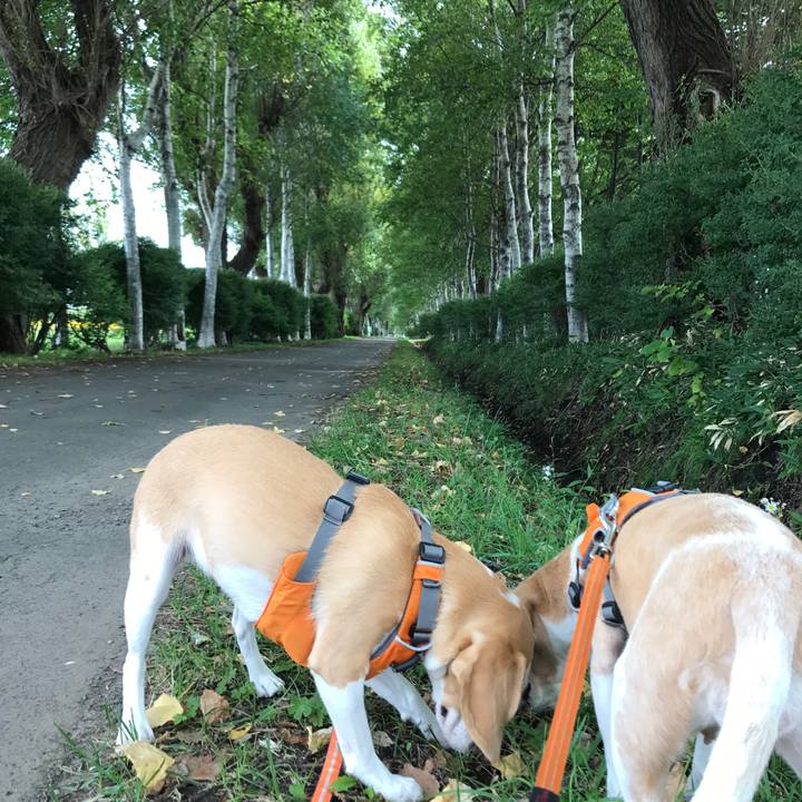 55a271f0 7783 4bf7 8e68 834153eef533