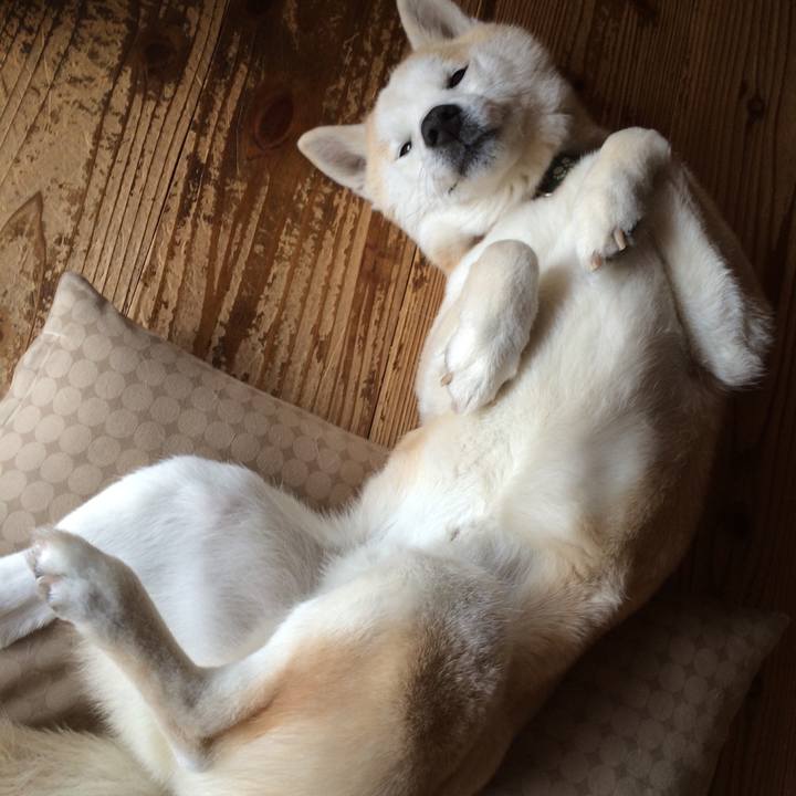 55a3357f cab3 40fb 8109 2be9eea1f5a2