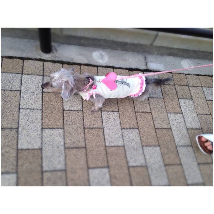 55a35794 9091 45e6 889a b5d786355a81