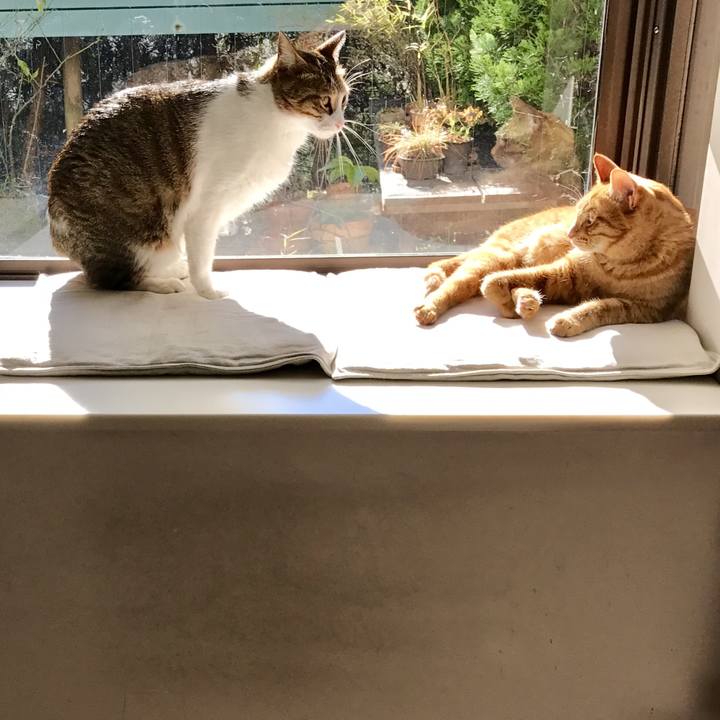 55a3849c f453 41a7 9314 86cf593325ea