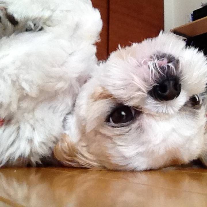 55a4184a 74fd 4011 96cd 04f0ccfd867a