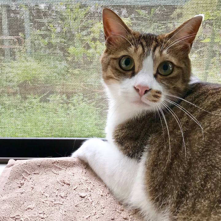 55a44efa 44fa 432d b3cc cbde6703e1d8