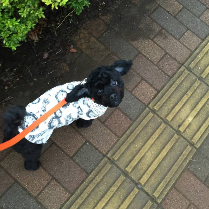 55a52ff6 3337 4e4c 8acd daae3795cb51