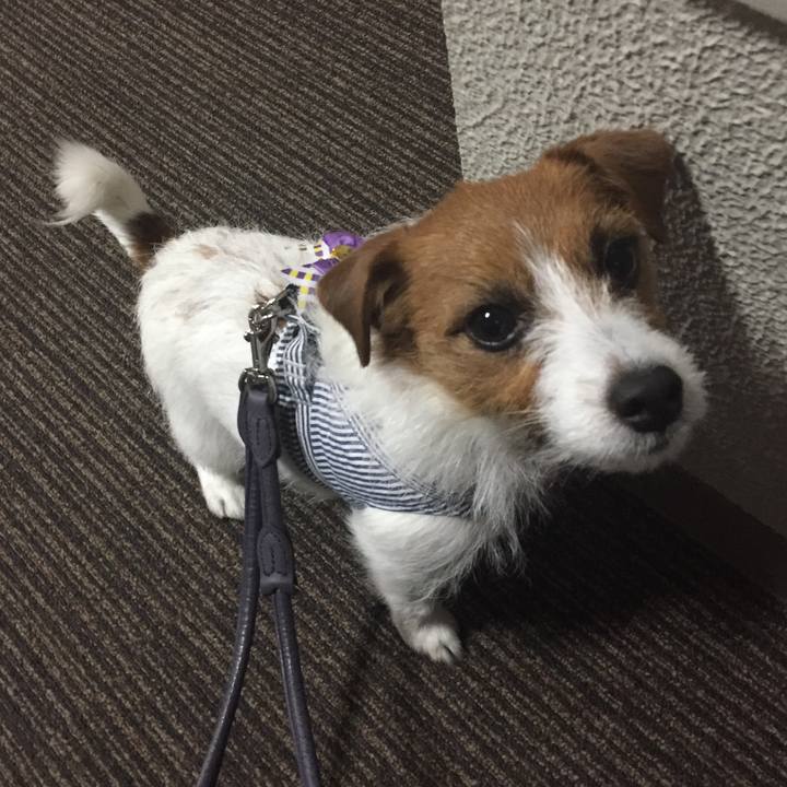 55a5bb7f c755 4a14 8f72 937ee95bbb02